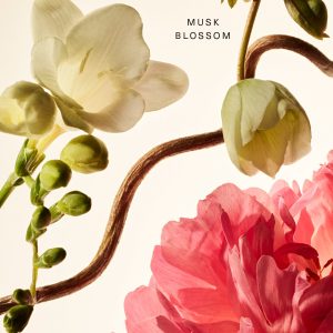 fragrance layering balm floral peony blossom
