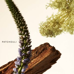 fragrance layering balm woody oak